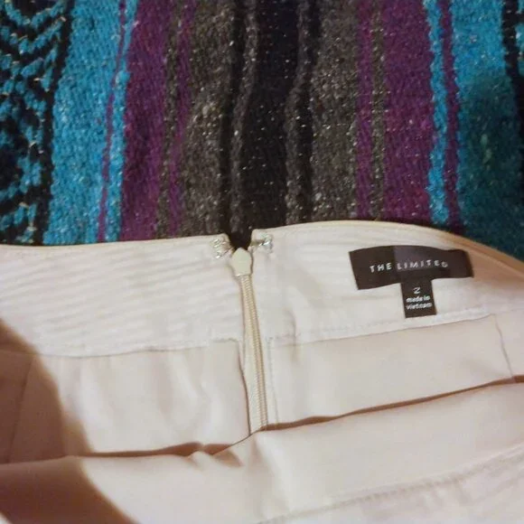 The Limited Beige Lined Pencil Skirt 2 Quiet Luxury Office Chic Minimalist - Picture 3 of 9